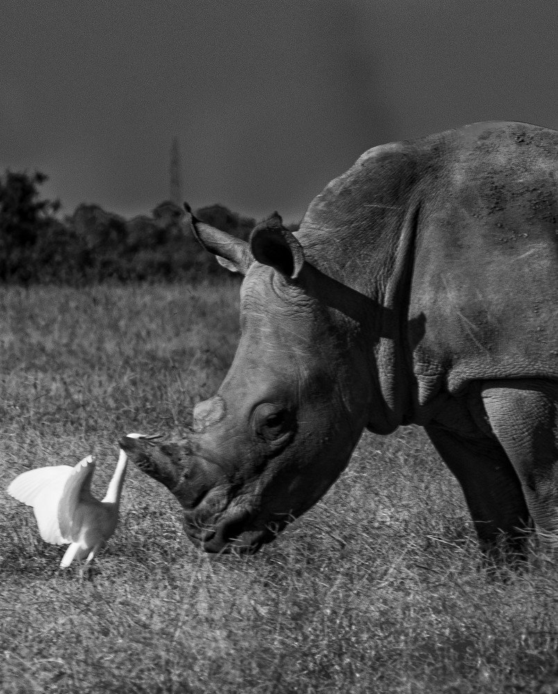 Photograph by Romi Haria