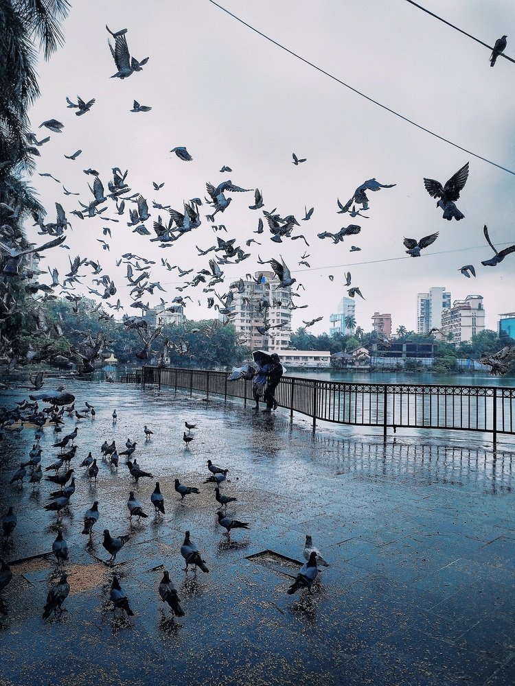 Let your Soul Feel the Sky and your Spirit Fly!