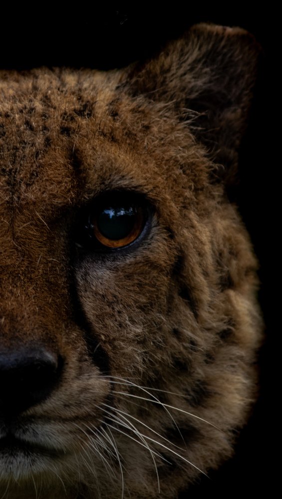 Photograph by Romi Haria