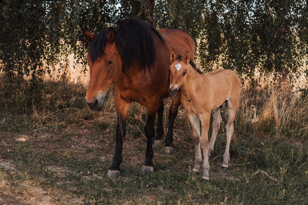 Photograph by Татьяна Давидчик