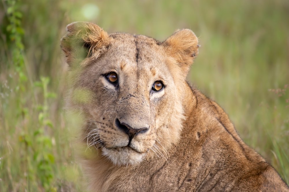 Photograph by Romi Haria