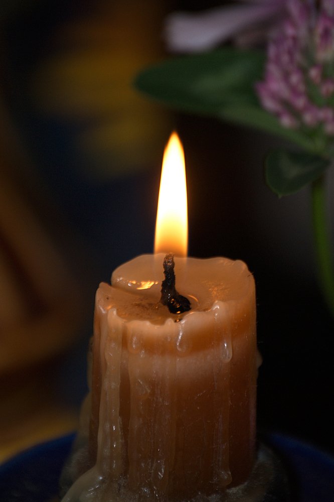 Photograph by Yroslava Veretina