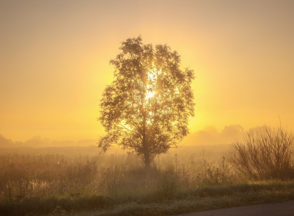 Photograph by Алексей Каширский