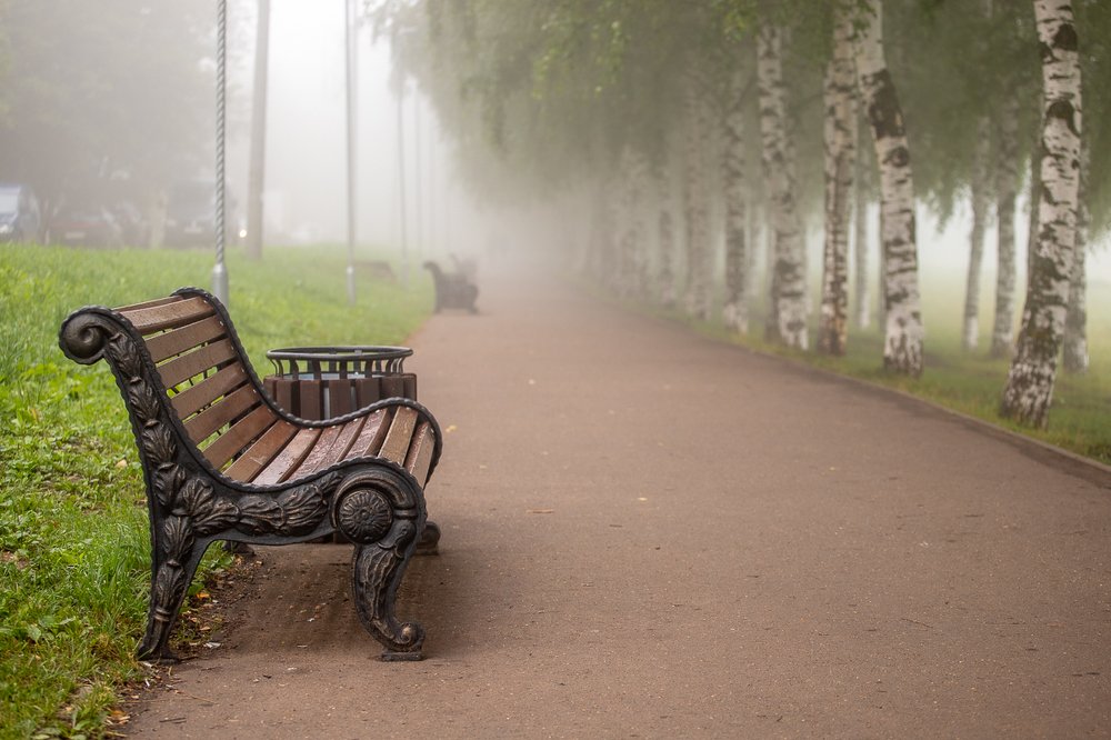Фотография автора Панагушин Сергей