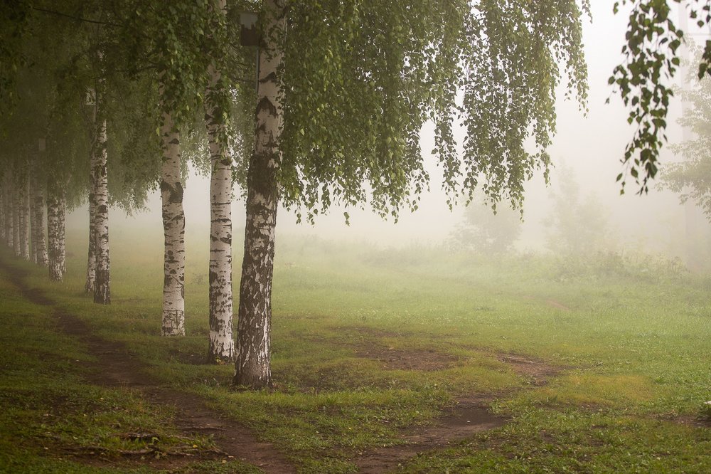 Фотография автора Панагушин Сергей
