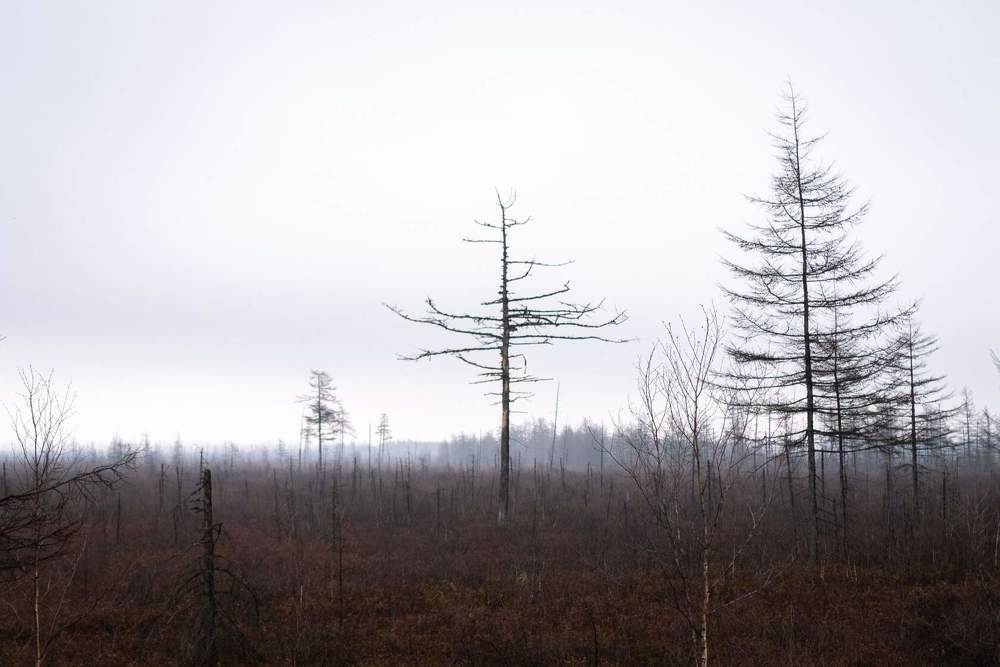 Фотография автора Денис Винарь