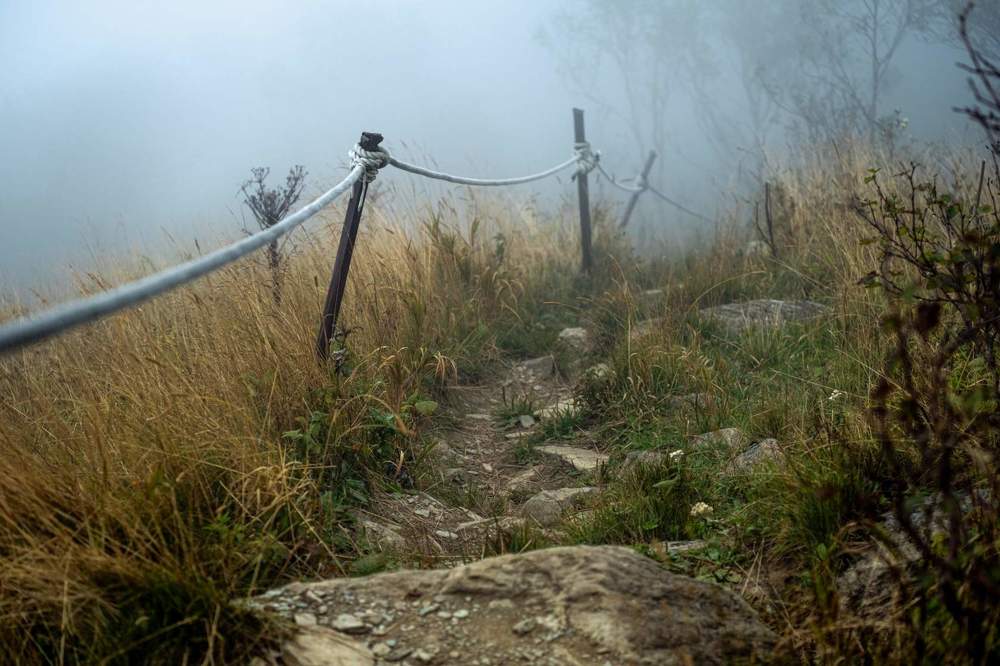 Фотография автора Денис Винарь