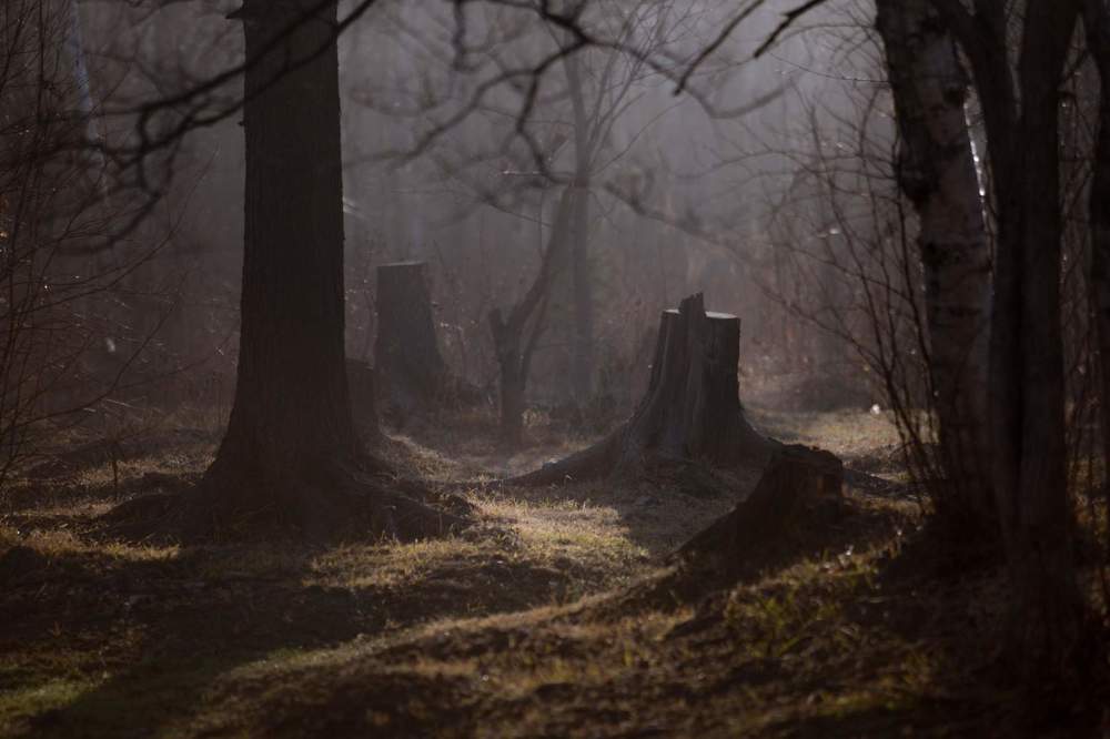 Фотография автора Денис Винарь