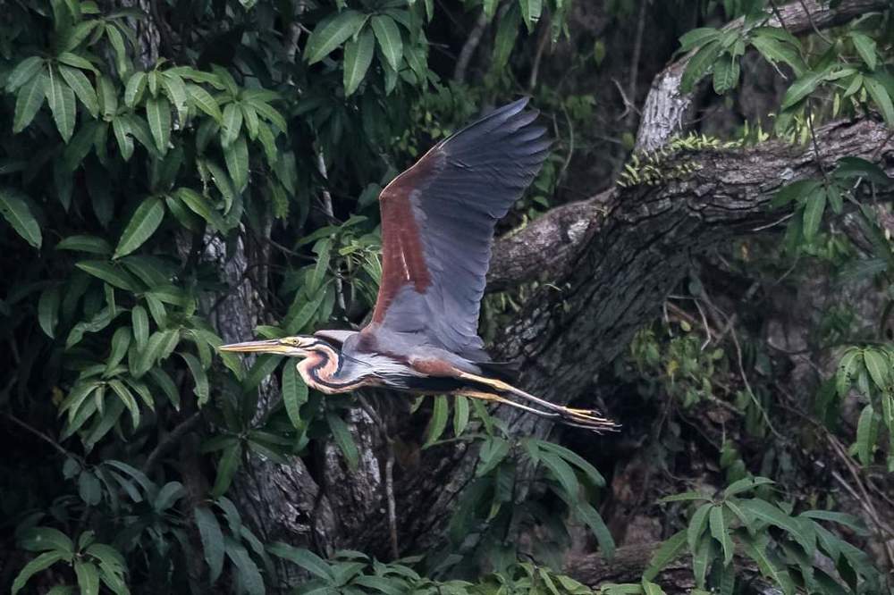 Photograph by Joo Aun Hneah