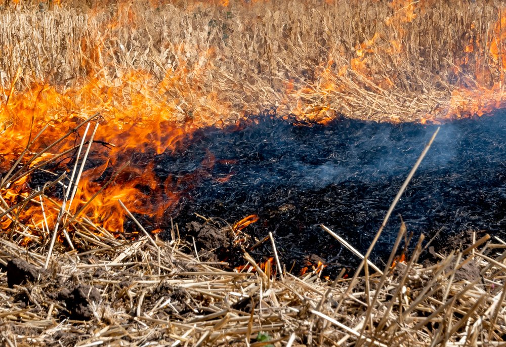 Photograph by Наталья Parovyshnyk