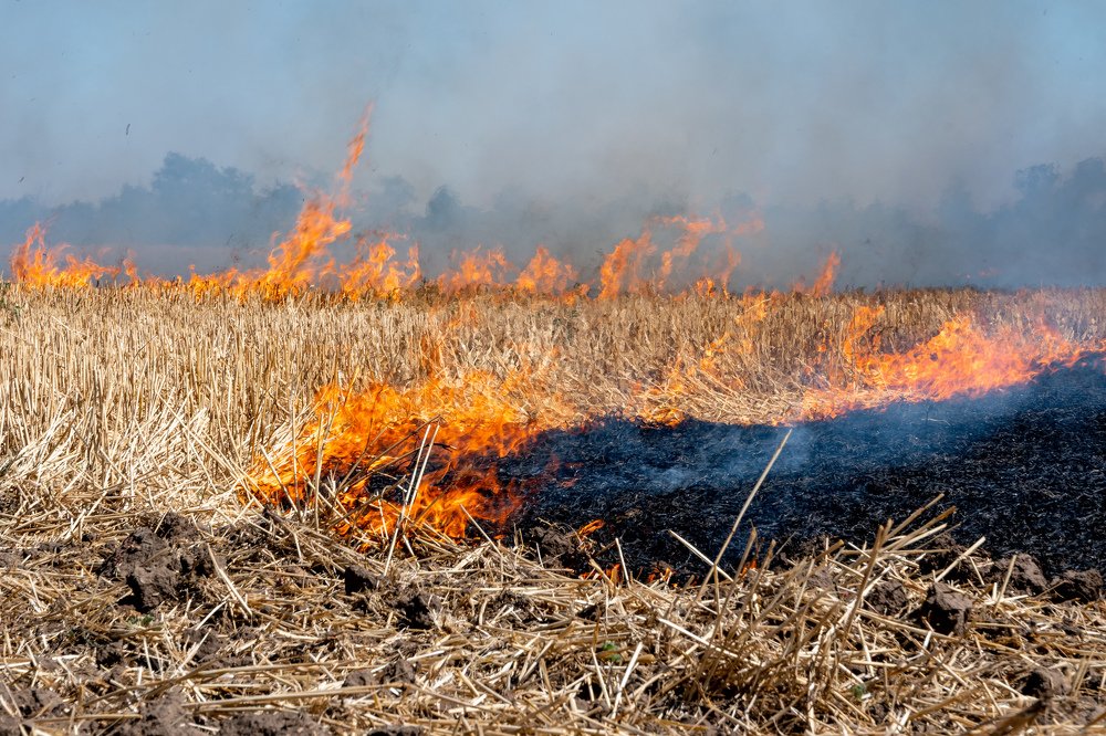 Photograph by Наталья Parovyshnyk