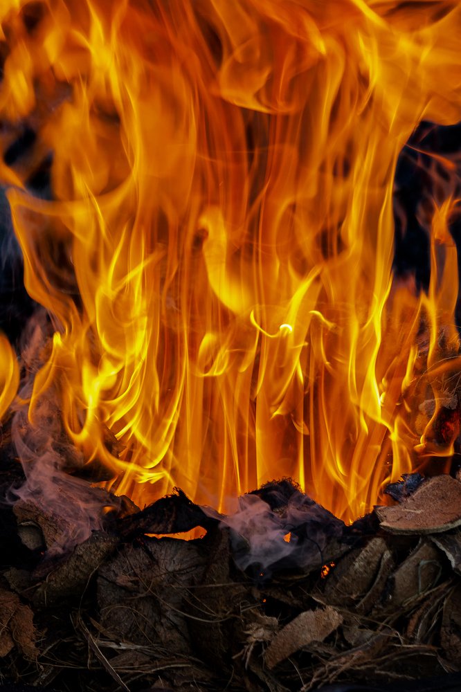 Photograph by Dhemmy Zeirifandi