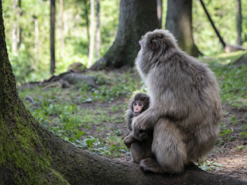 Photograph by bostjan imperl