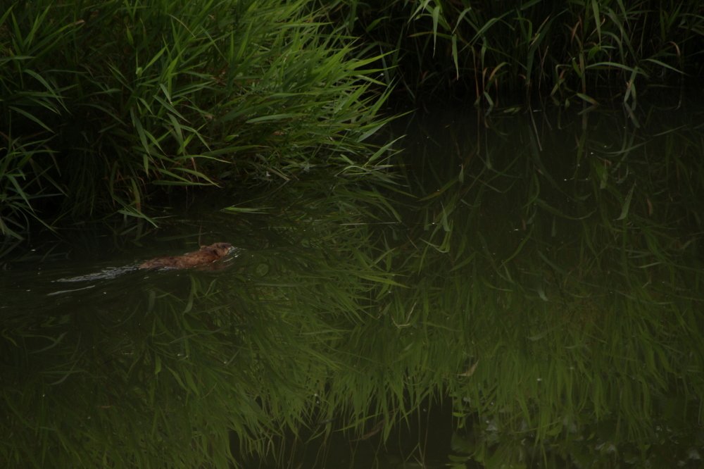 Photograph by Илья Беликов