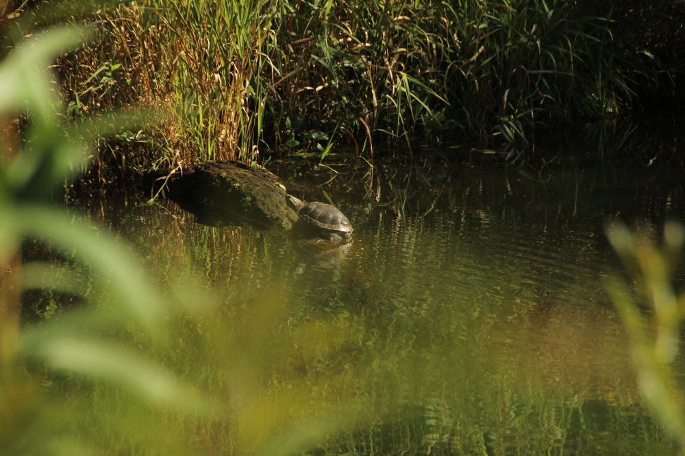 Photograph by Илья Беликов