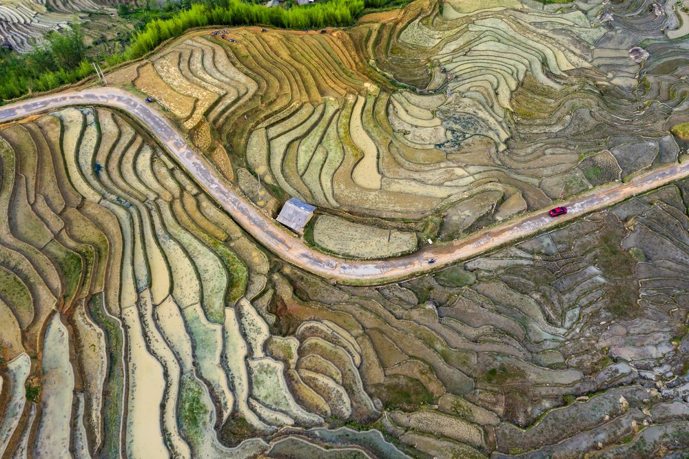 Фотография автора quach nam