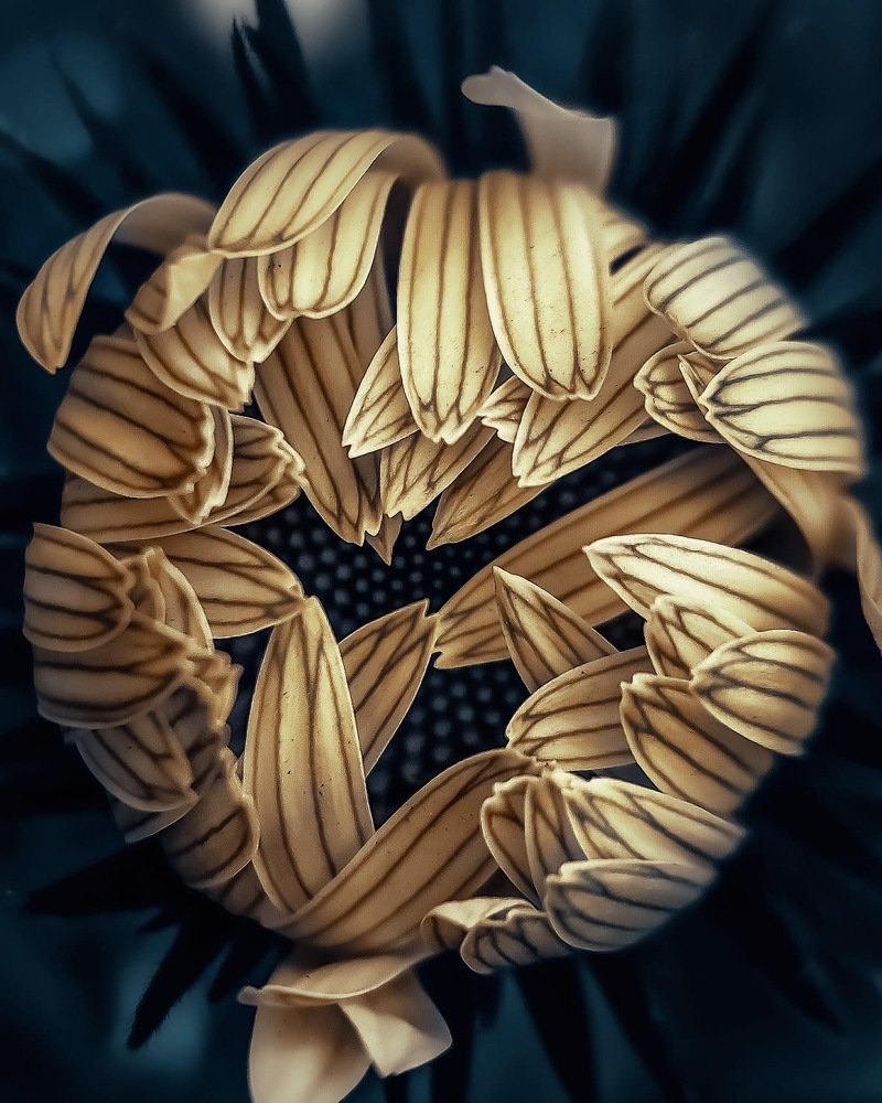 Photograph by Кристина Полунина