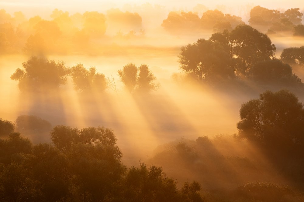 Фотография автора Юрий Сорокин