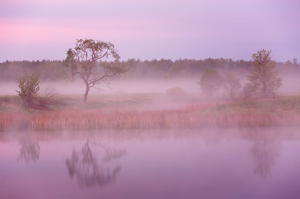 Фотография автора Юрий Сорокин