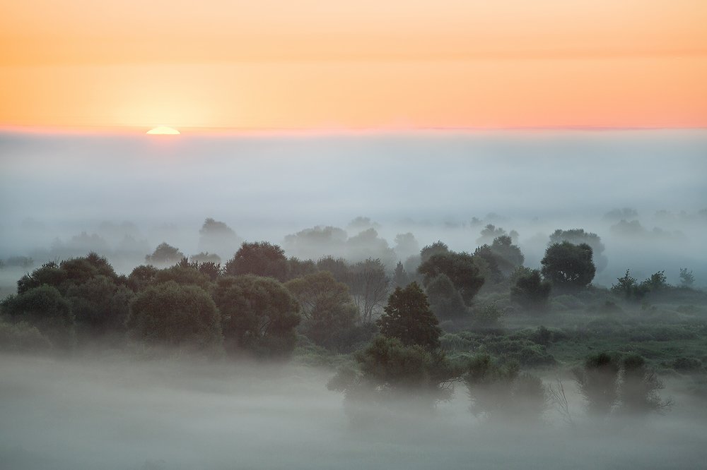Фотография автора Юрий Сорокин