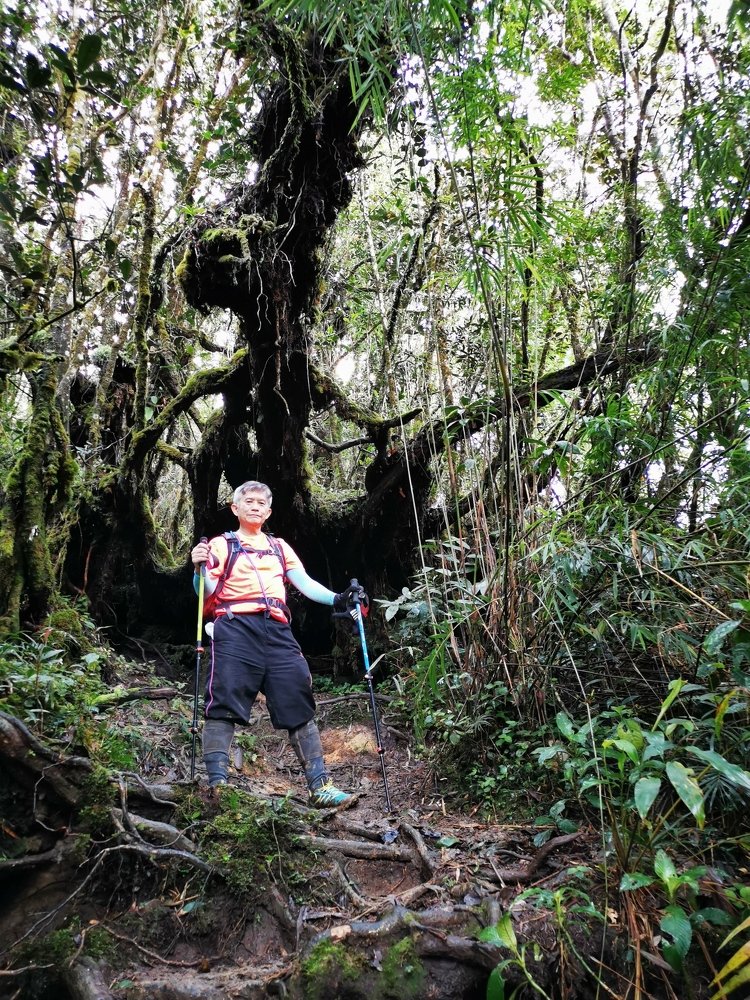 Photograph by Chunhou Poon