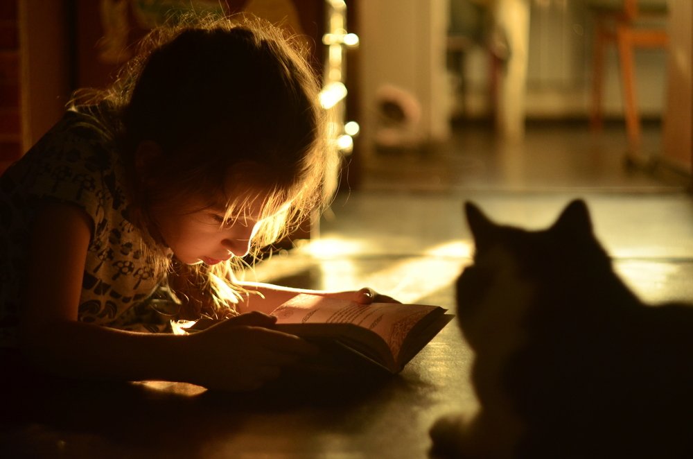 Вечернее чтение