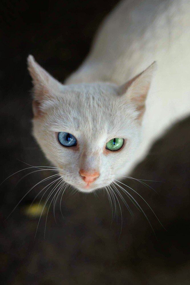 Photograph by Nika & Ramin