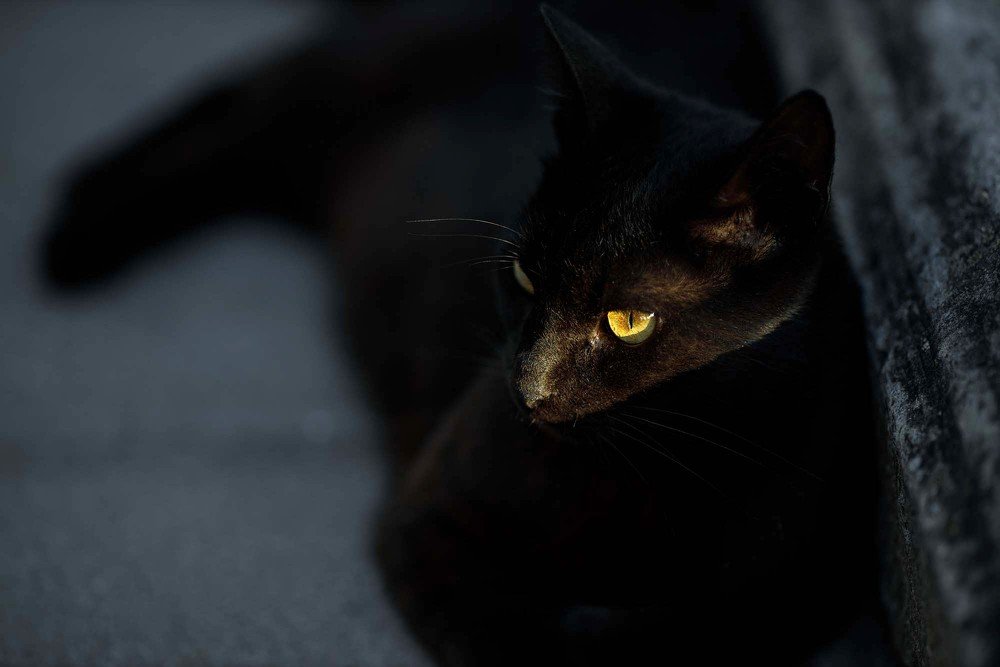 Photograph by Nika & Ramin