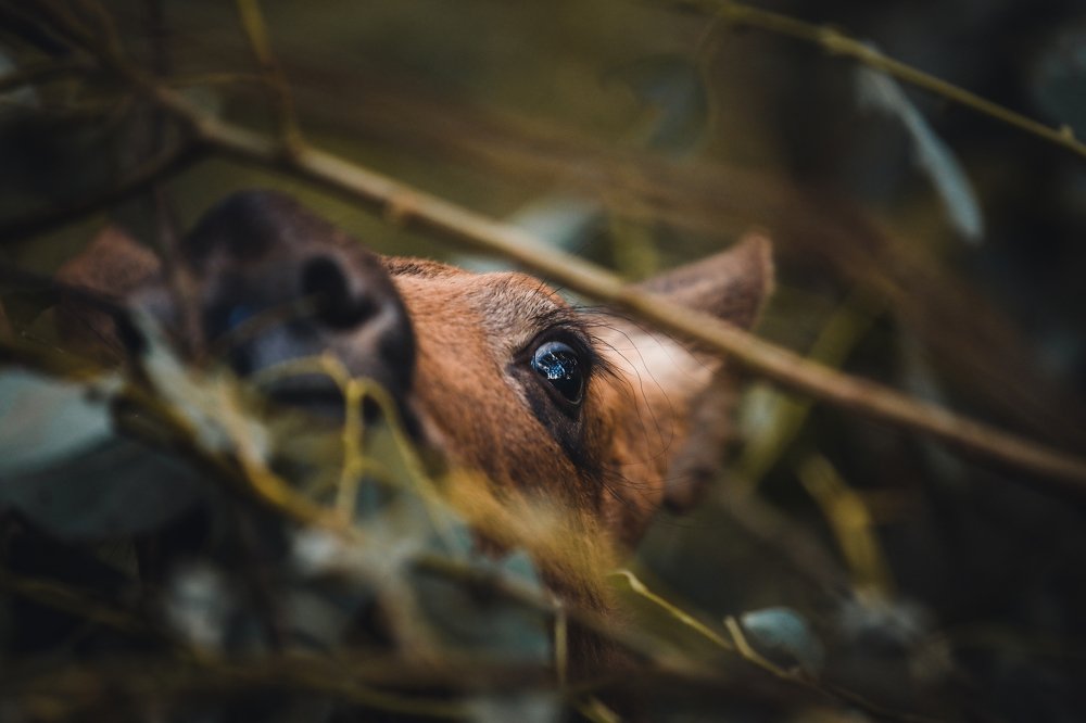 Photograph by Светлана Воскресенская
