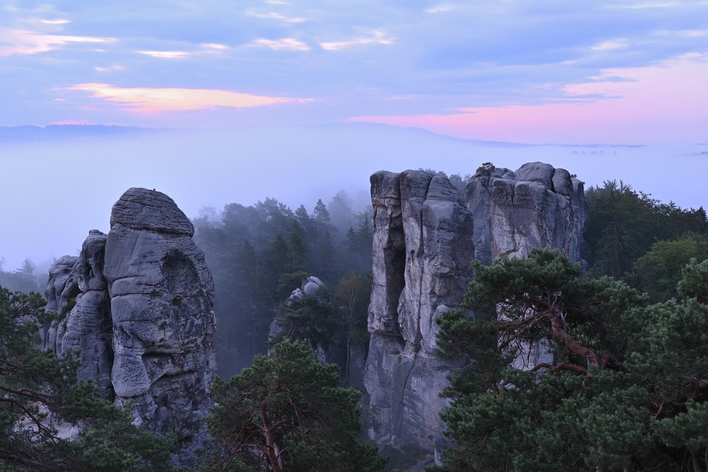 Photograph by Andrea Šrotová