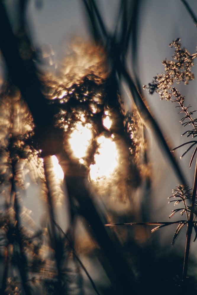 Photograph by Ольга Маркина