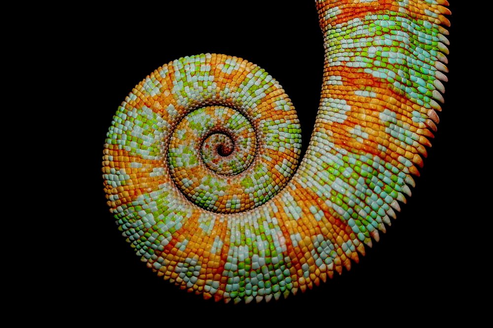 Photograph by Jana Brajdih Čendak