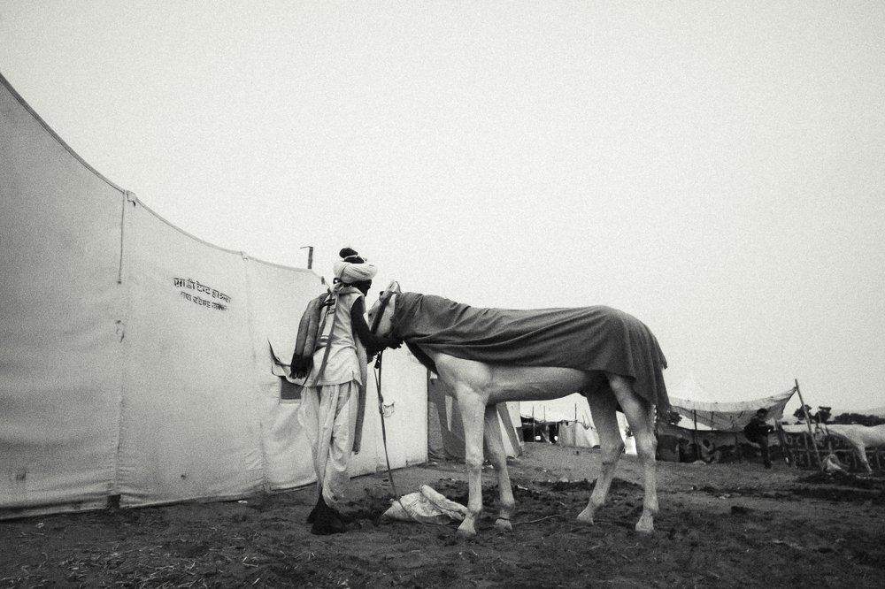 Photograph by Ping Ping Choo