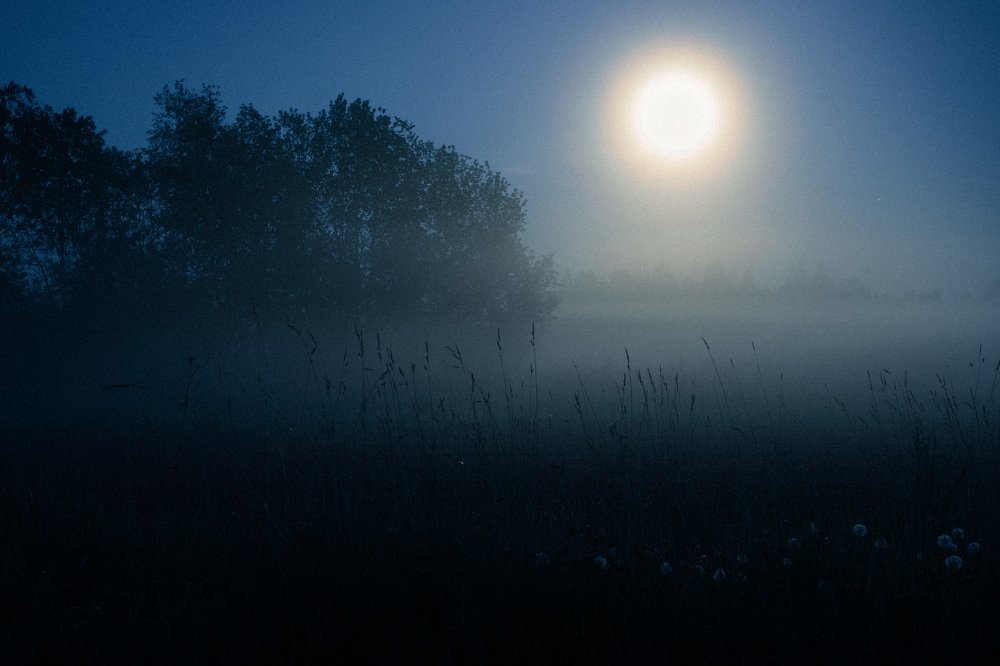 Photograph by Denis  Goryachev