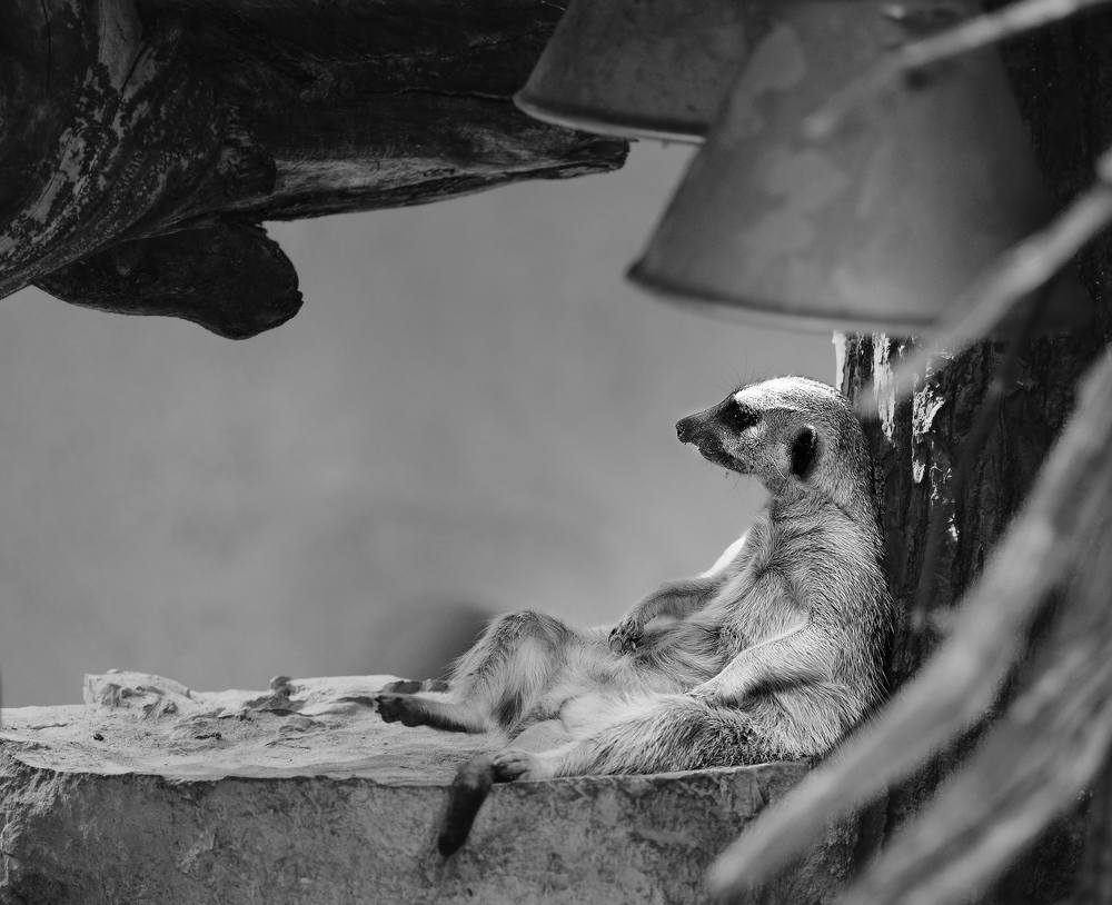 Photograph by Jevgenij Bujanov