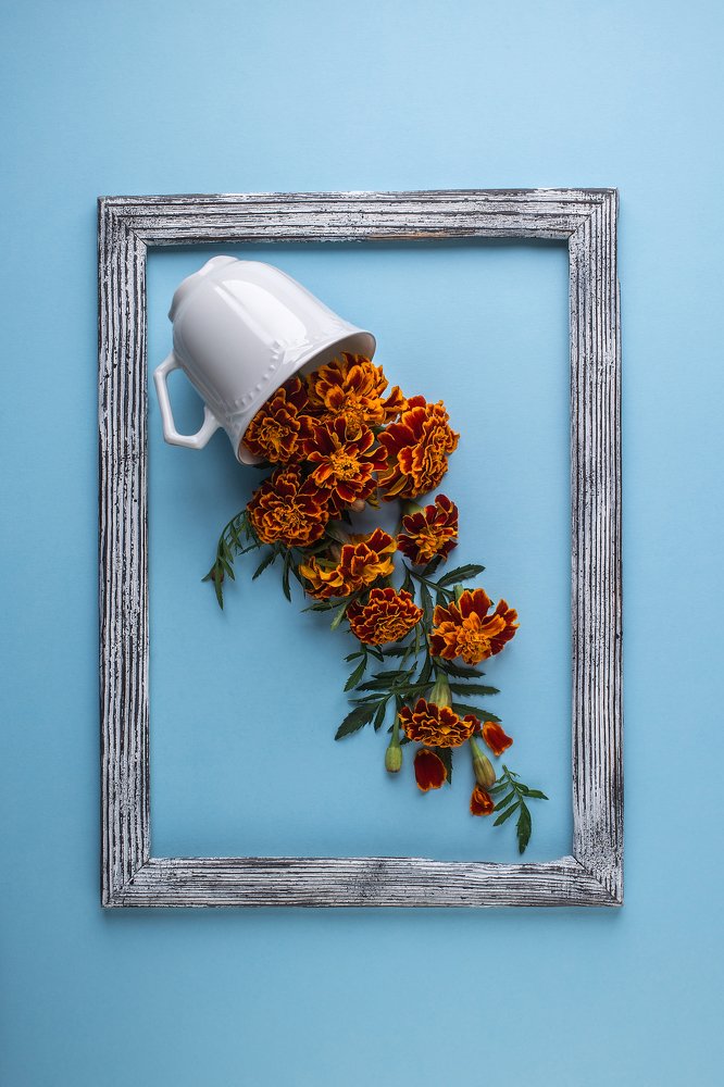 Photograph by Валерий Бочкарев