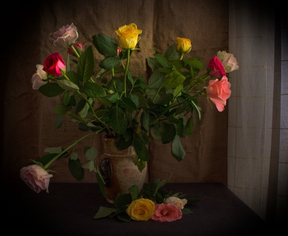 Photograph by Alla Shapochnik