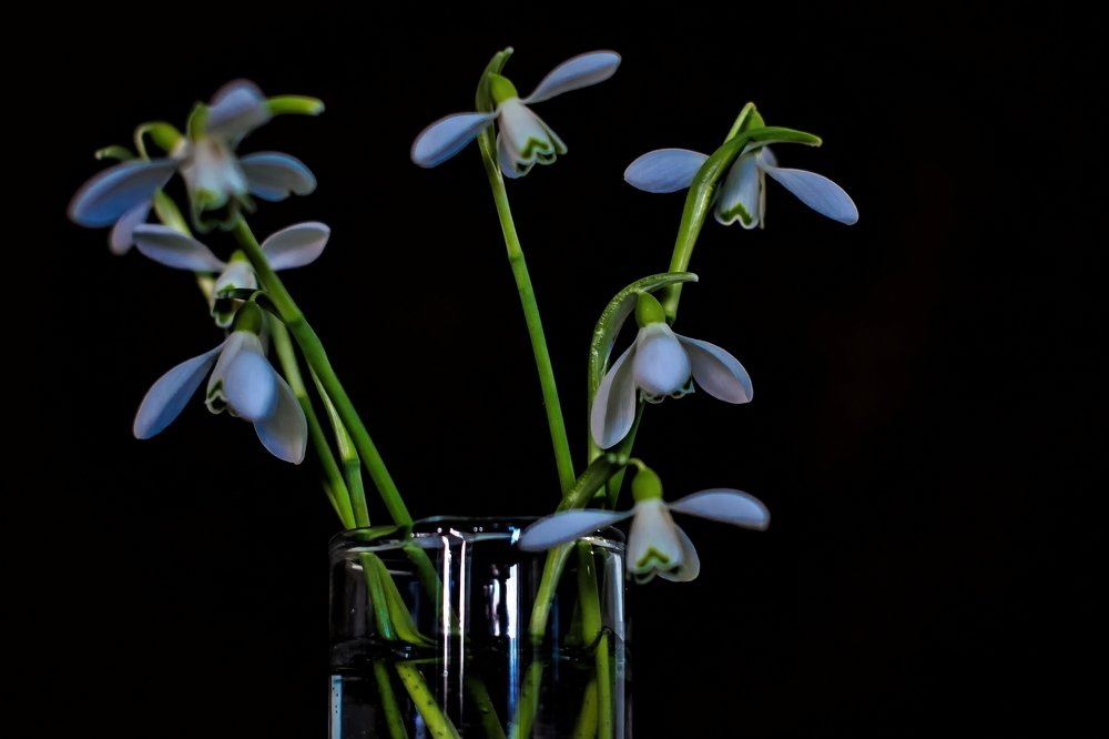 Photograph by Елена Венкова