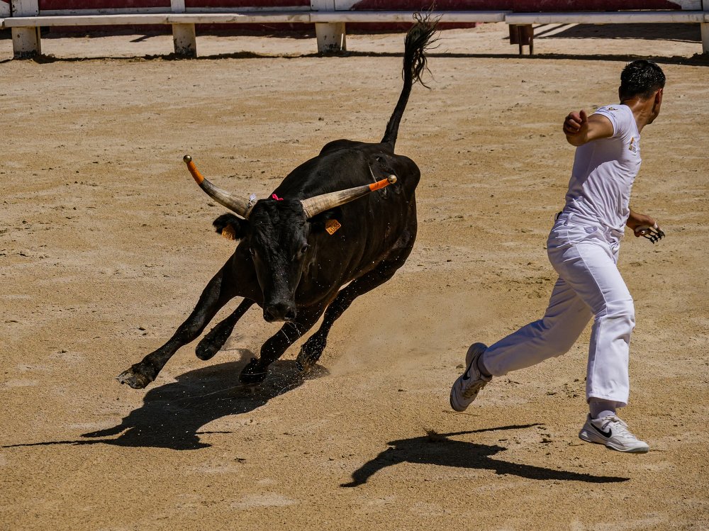 Photograph by Serge Melesan