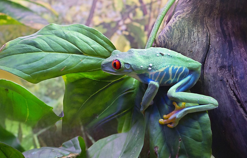 Photograph by Савина Галина