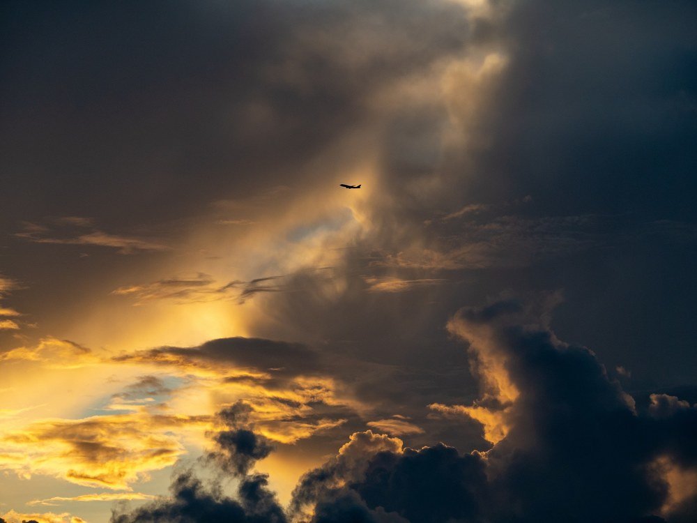 Hope on the flight home