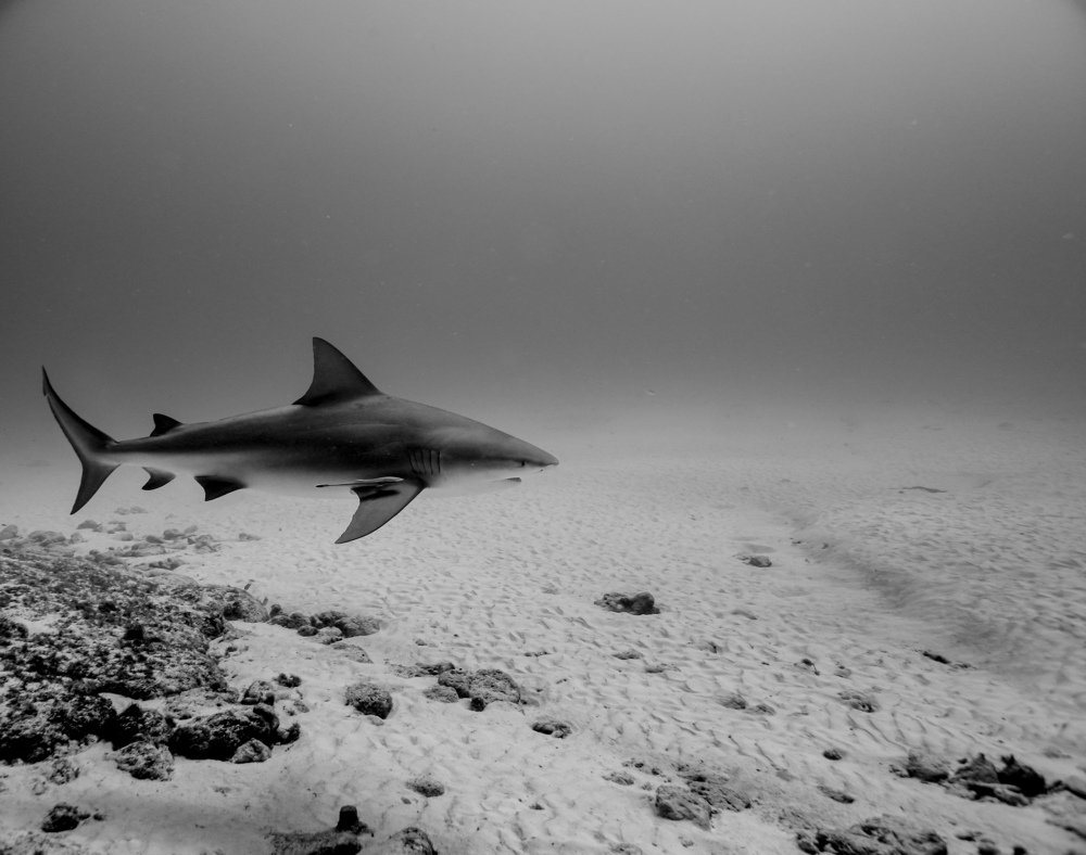 Photograph by Mizael Palomeque