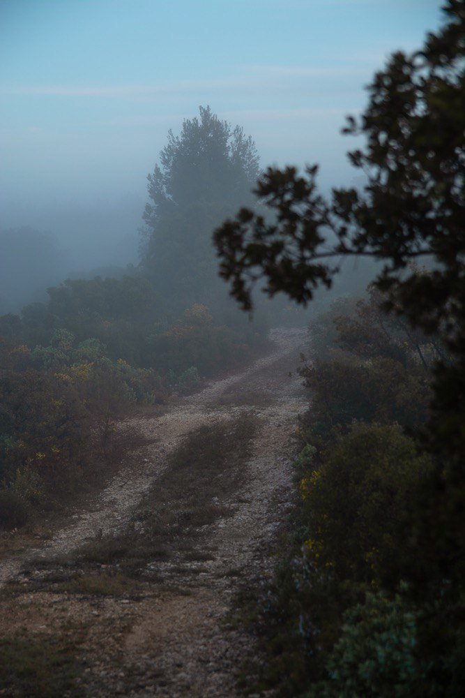 Фотография автора Иванов Андрей