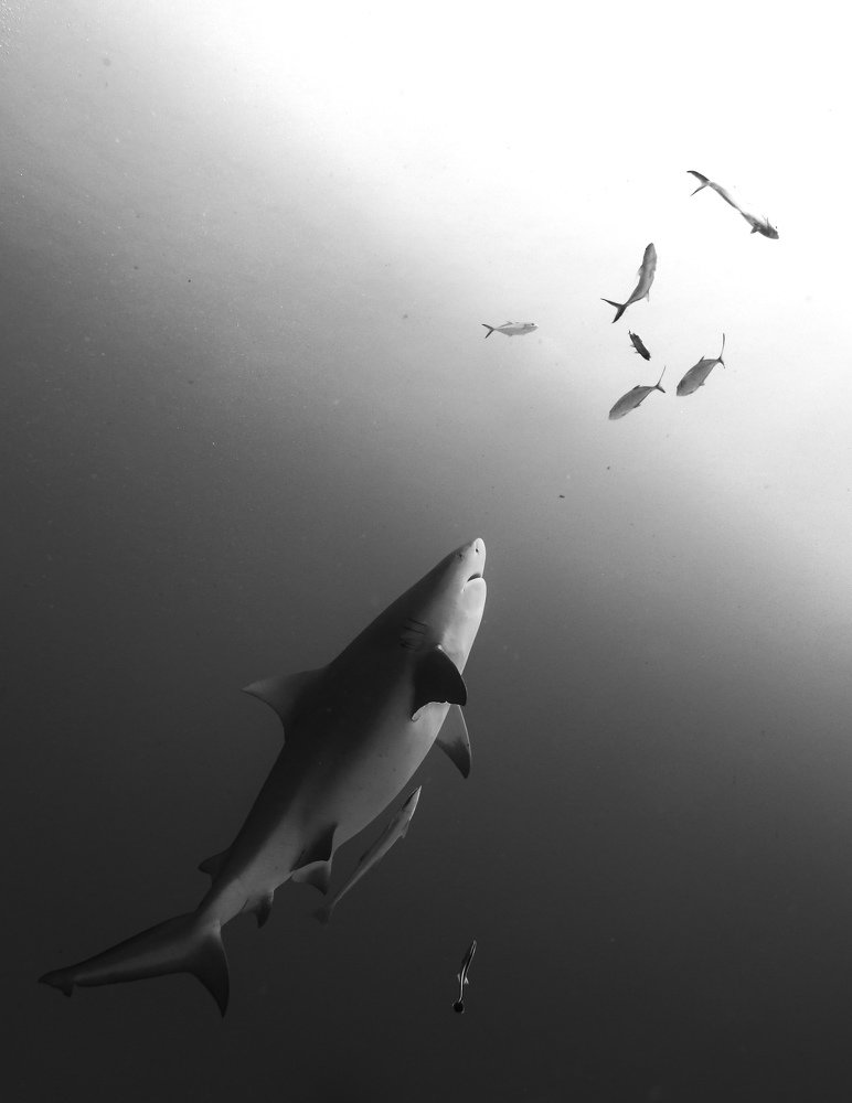 Photograph by Mizael Palomeque