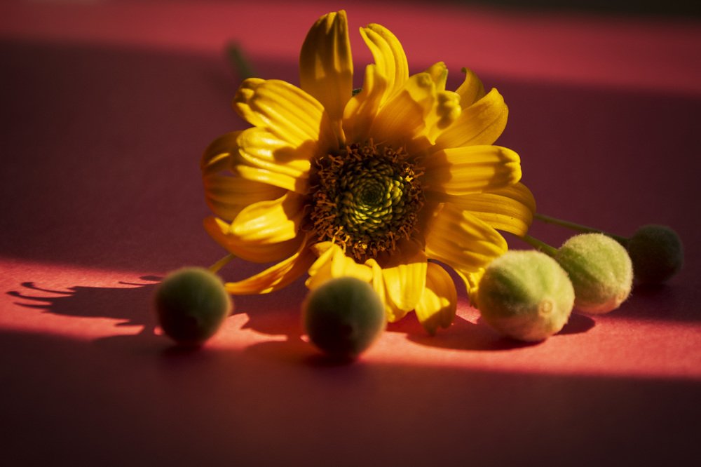 Photograph by Лилия Кондратьева