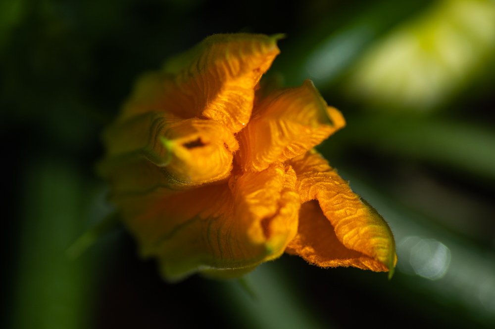 Photograph by Aleksei Degtjarjov