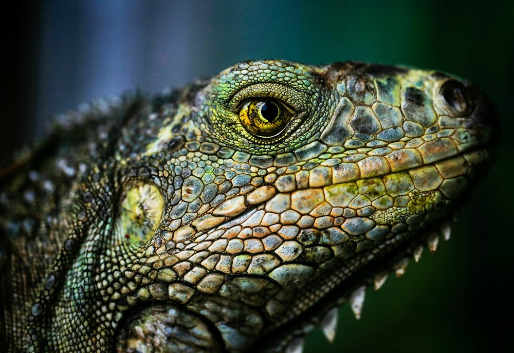 Photograph by Mizael Palomeque