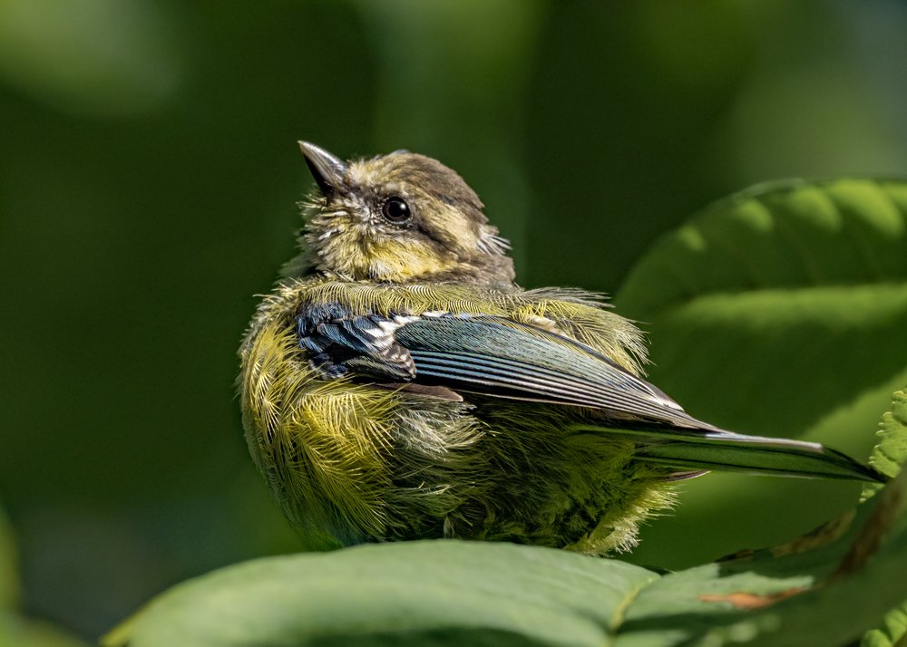 Photograph by Курлянцев Алексей