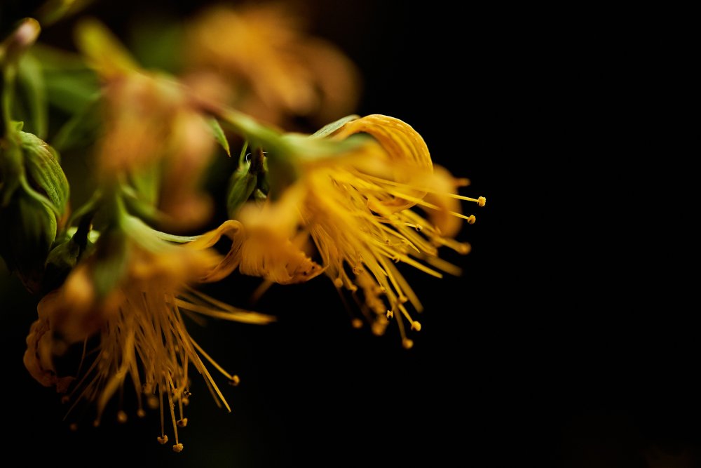 Photograph by Михаил Рогачев