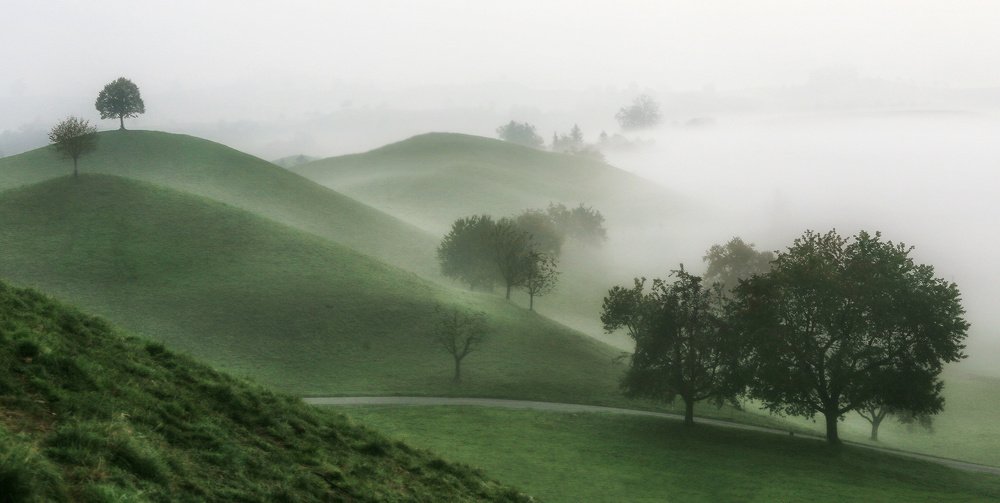 Photograph by Галина Хвостенко